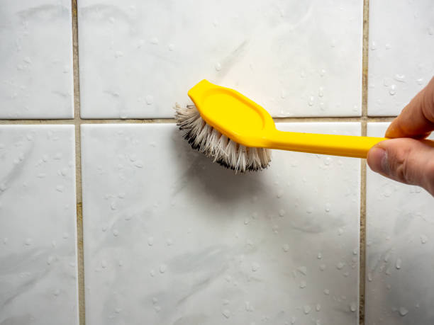 Best Mold Testing  in Pocatello, ID