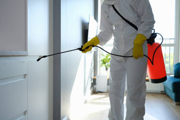Best Mold Testing  in Pocatello, ID
