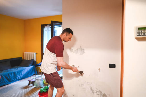 Best Mold Cleaning Services  in Pocatello, ID